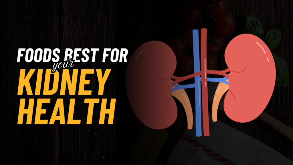 Foods Best For Your Kidney Health